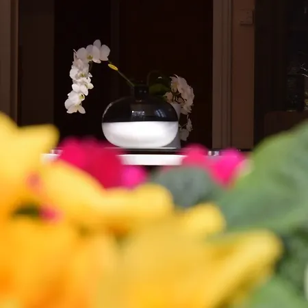 Ferienapartments Urlaub Und