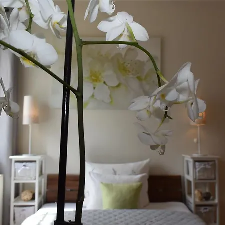 Ferienapartments Urlaub Und *