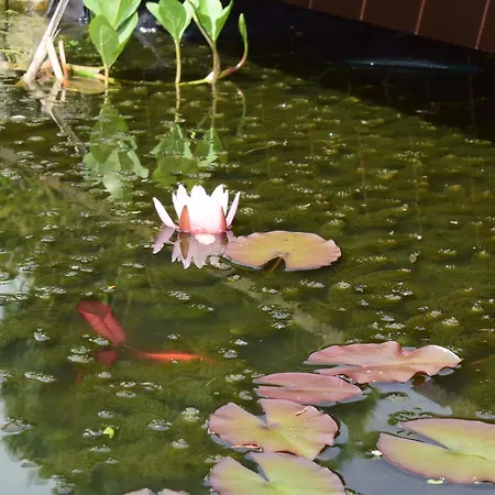 דירה Ferienapartments Urlaub Und